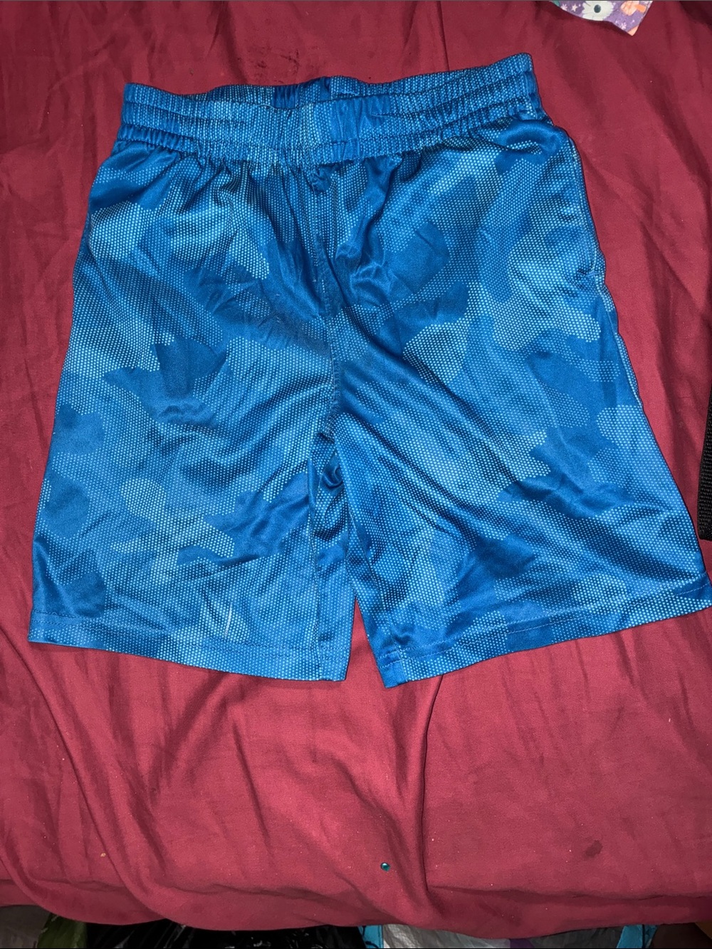 Lands' End Men's Royal Blue Athletic Mesh Shorts